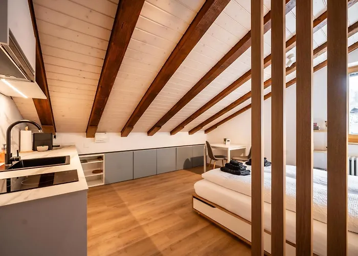 Apartment Mundizia *